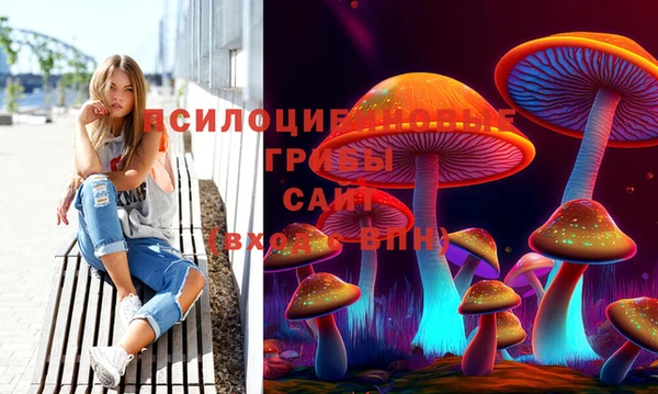 apvp Аркадак