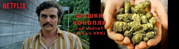 apvp Аркадак