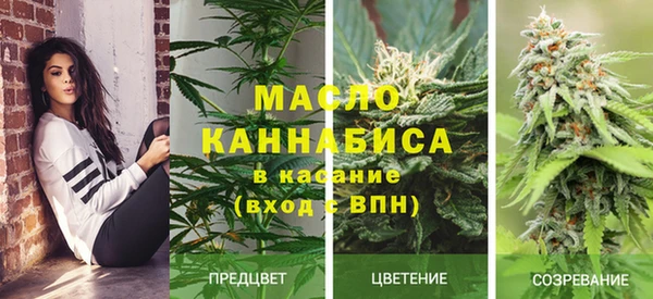 меф Арсеньев