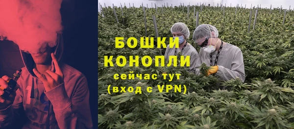 меф Арсеньев