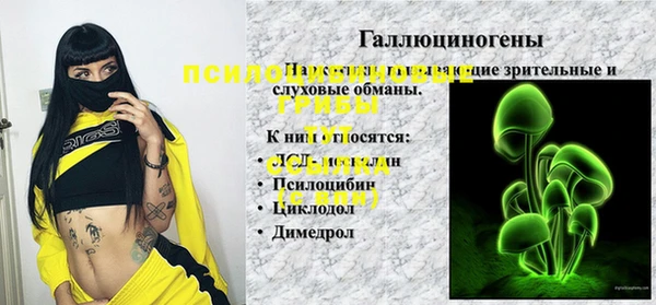 apvp Аркадак