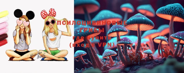 меф Арсеньев